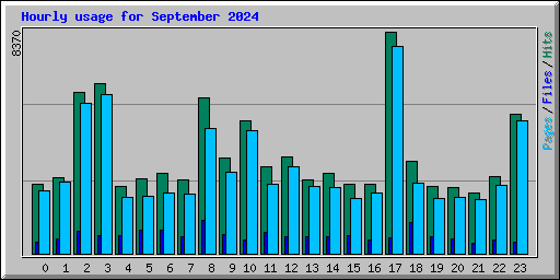 Hourly usage for September 2024