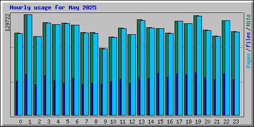 Hourly usage for May 2025