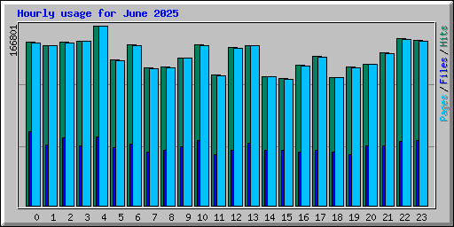 Hourly usage for June 2025