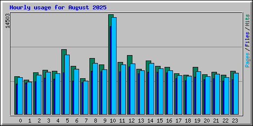 Hourly usage for August 2025