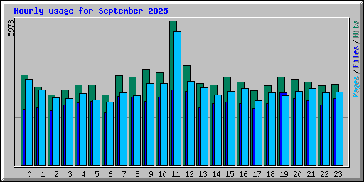 Hourly usage for September 2025