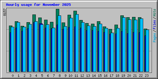 Hourly usage for November 2025