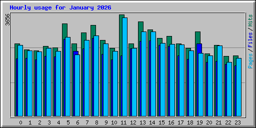 Hourly usage for January 2026
