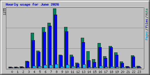 Hourly usage for June 2026