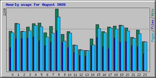 Hourly usage for August 2026